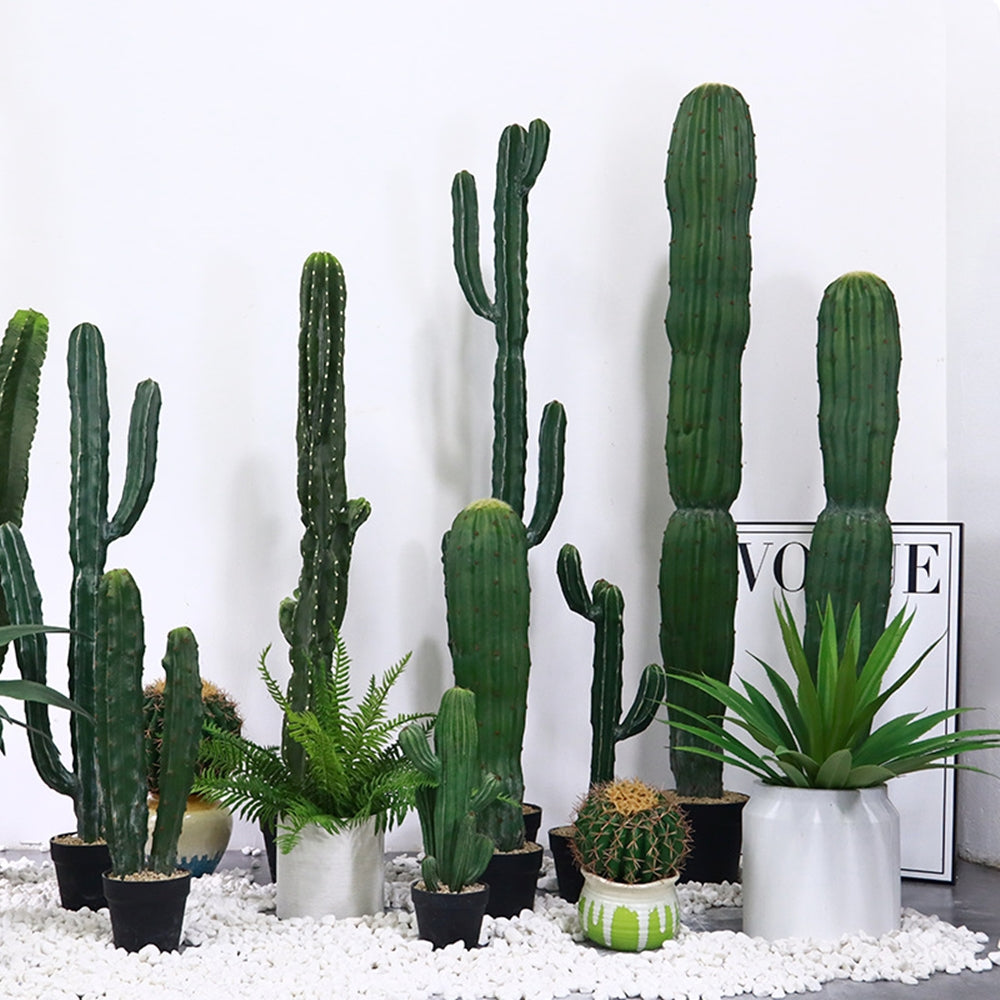 tall indoor cactus plants Cheap Cactus in pot Artificial Cactus 2ft, 3ft, 4ft, 5ft Tall Cactus Plants With Pots For Sale