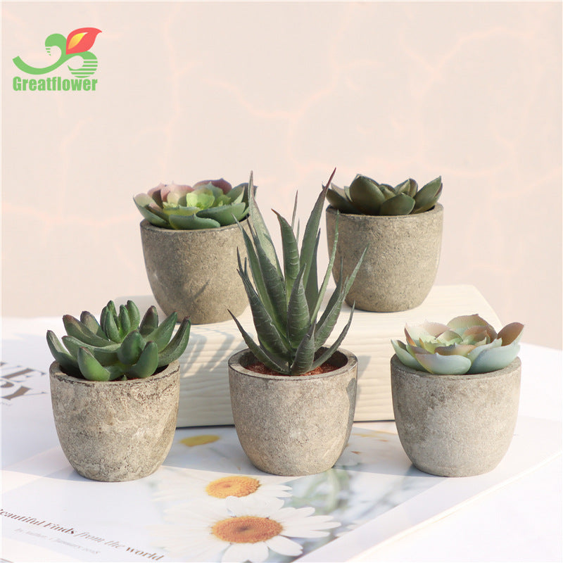 Indoor decoration simulation succulent plant bonsai retro artificial flower bonsai home living room desktop decoration