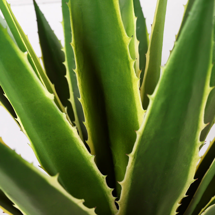 Artificial Golden Agave Plants | Agave Americana Variegata