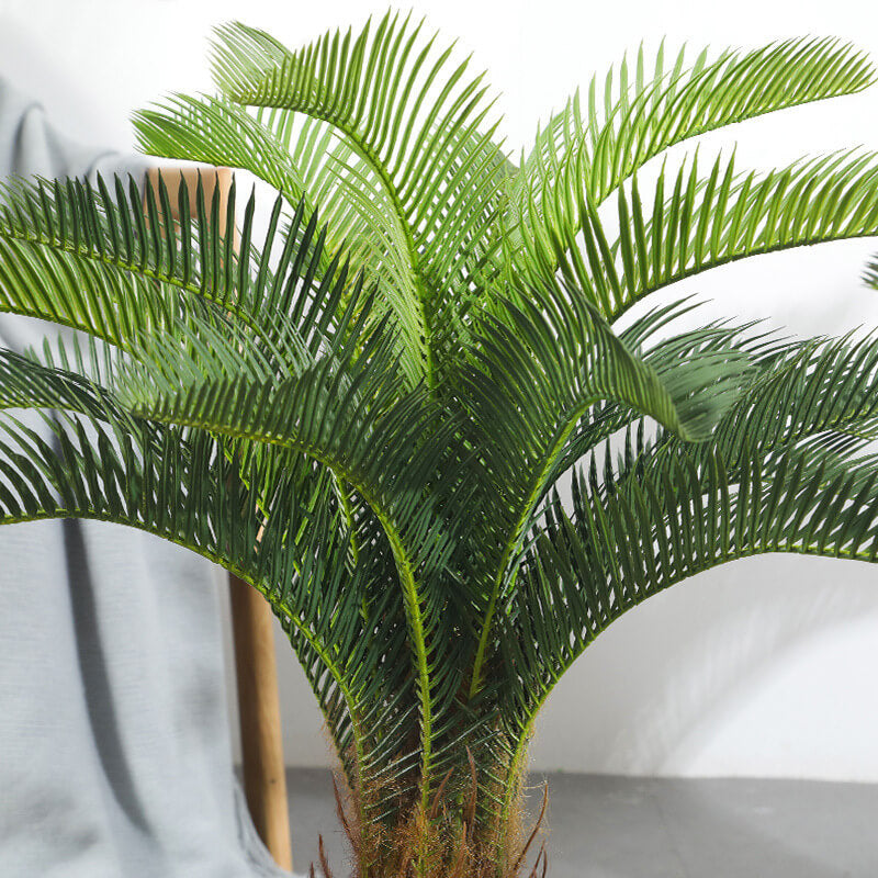 Artificial Cycas Palm Tree (Indoor/Outdoor)