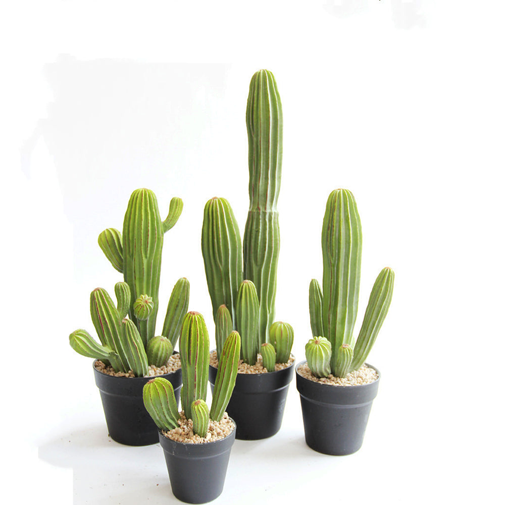 cactus plant pots for sale Artificial Pachycereus Pringlei Cactus With Pot Mexican Giant Cardón Online for Sale – AMG