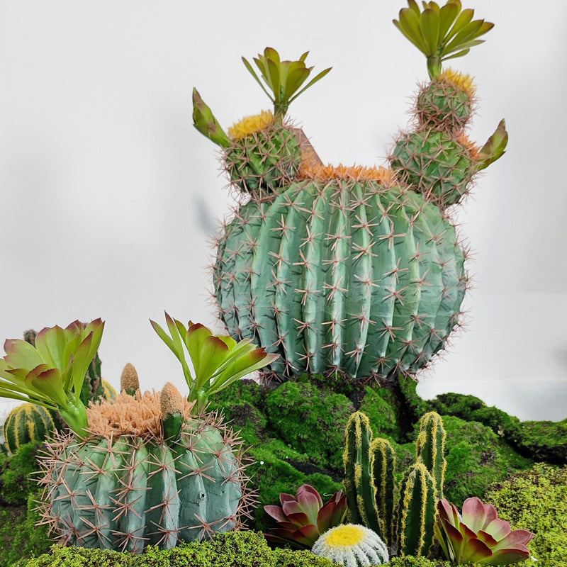 Potted Round Cactus With Leaves