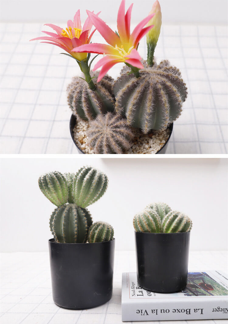 Small Fake Cactus Potted Plants Indoor