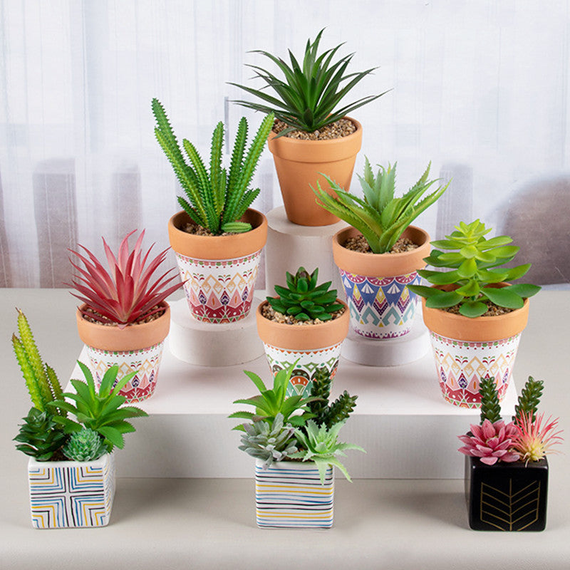 artificial succulent plants in pots Artificial Succulents in Ceramic pots Faux Plants Indoor Fake Succulent pots – AMG