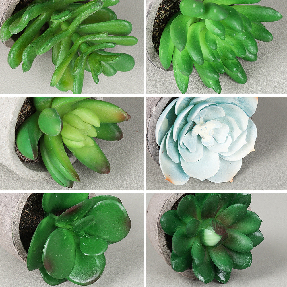 Potted Artificial Succulent Plants Set of 5 Small Faux Succulent with Pots
