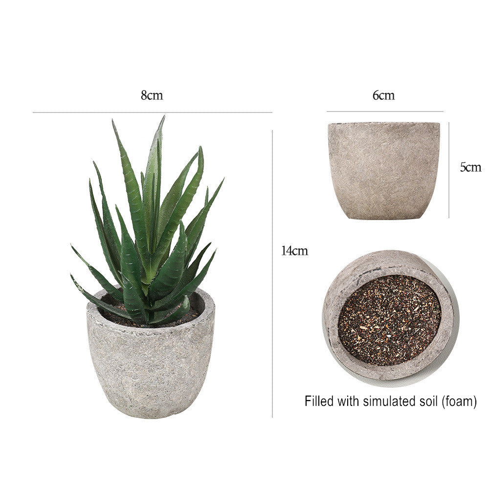 Potted Artificial Succulent Plants Set of 5 Small Faux Succulent with Pots