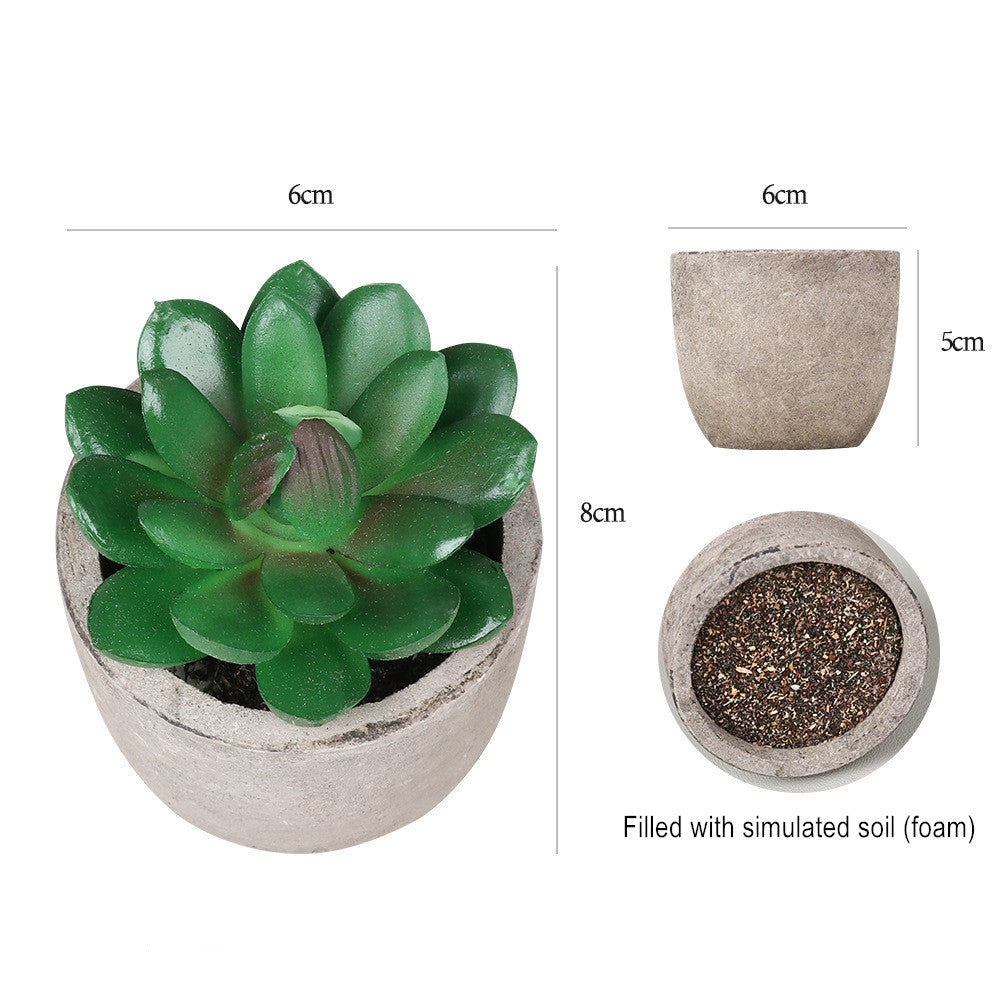 Potted Artificial Succulent Plants Set of 5 Small Faux Succulent with Pots