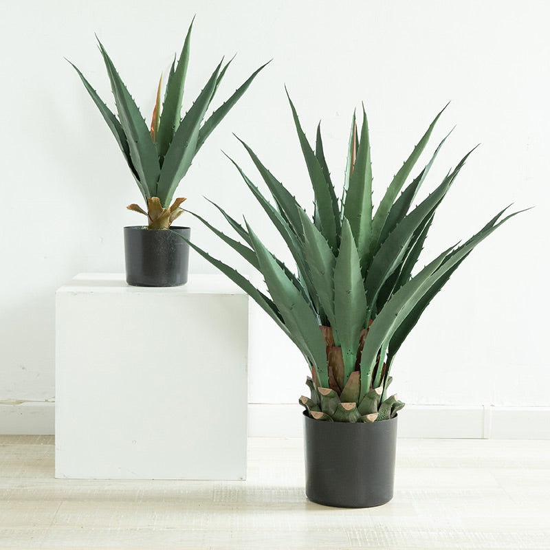 agave indoor plant Cheap Artificial Agave Plant indoor outdoor online store – AMG