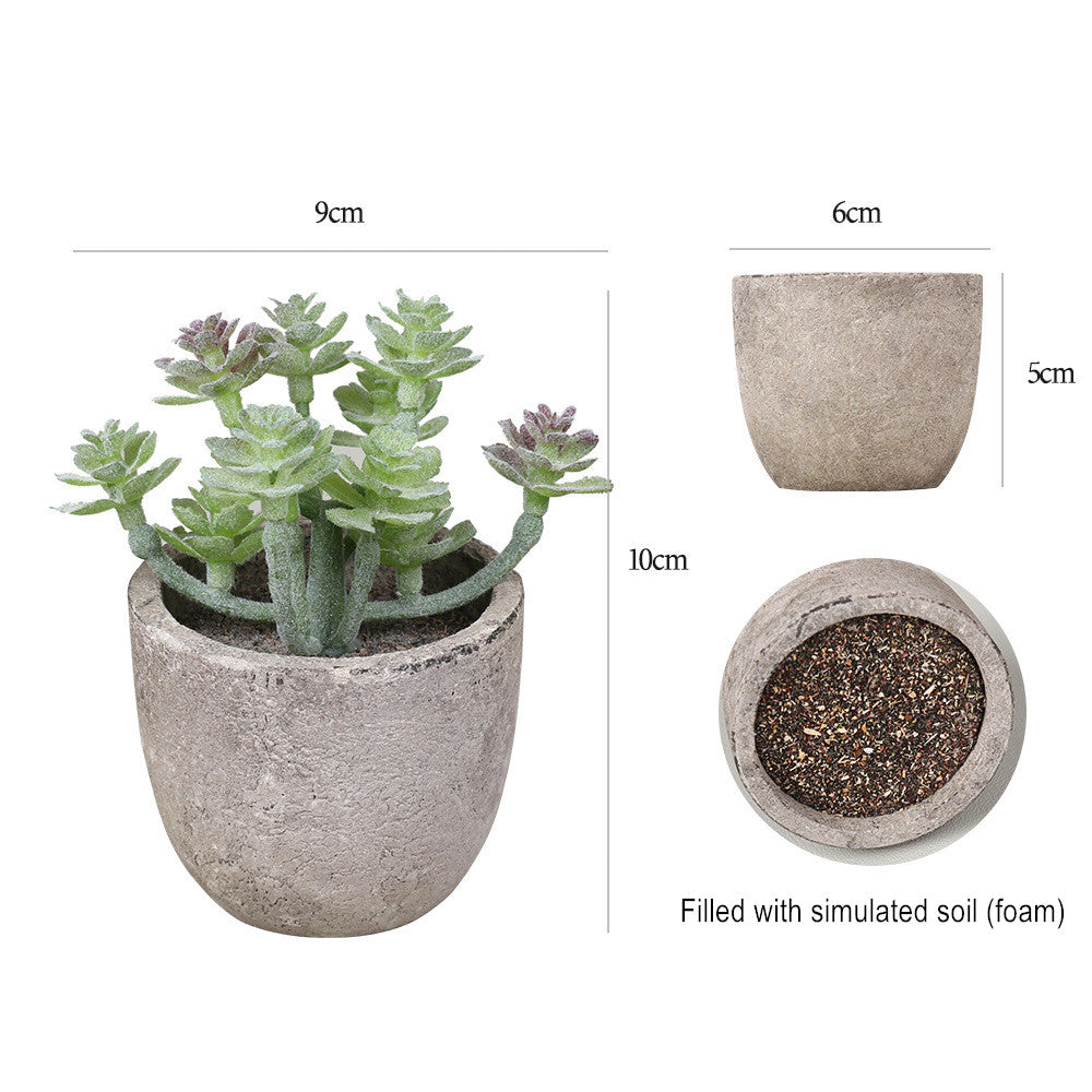 Potted Artificial Succulent Plants Set of 5 Small Faux Succulent with Pots