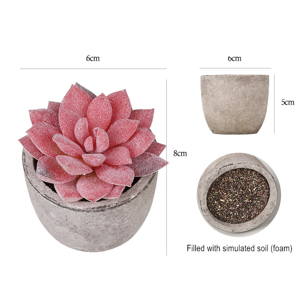 Potted Artificial Succulent Plants Set of 5 Small Faux Succulent with Pots