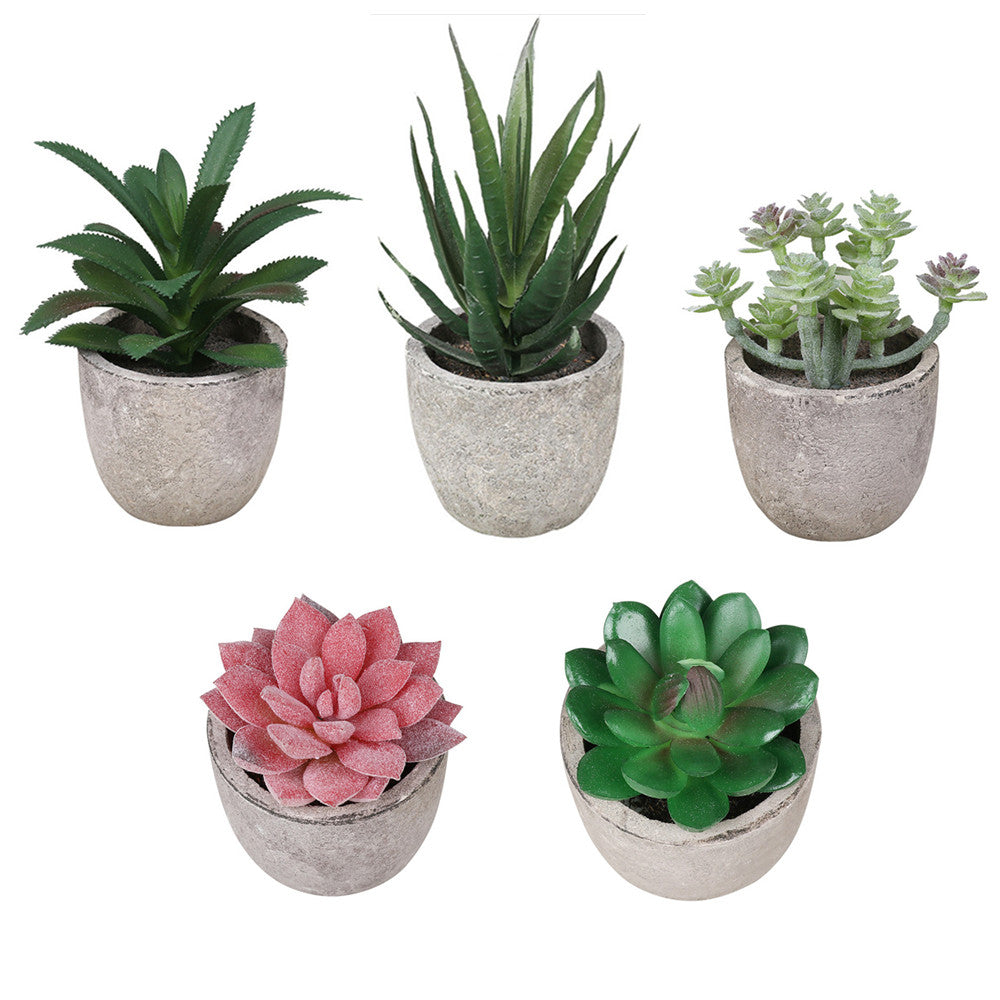 Potted Artificial Succulent Plants Set of 5 Small Faux Succulent with Pots