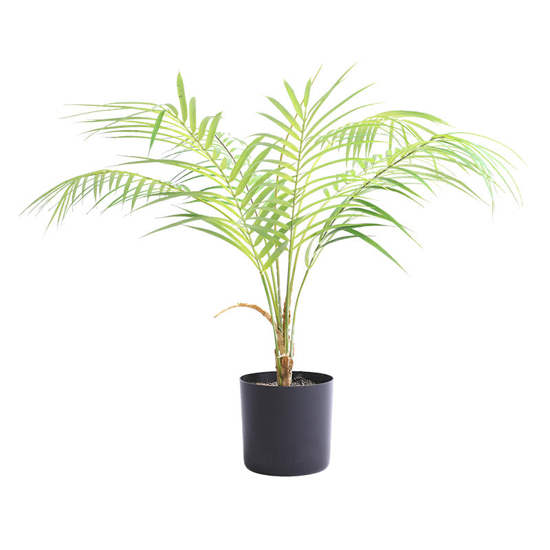 artificial palm tree plant Shop Artificial Palm Tree 7 Leaves in Black Pot – AMG