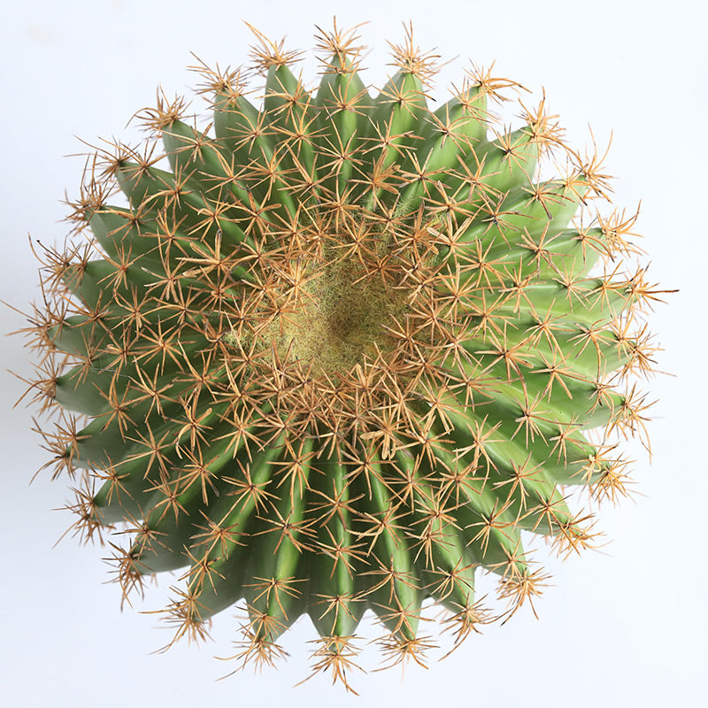 Potted Artificial Golden Barrel Cactus Red Barrel Cactus