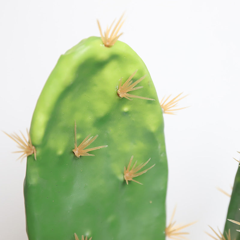 Bunny Ear Cactus Artificial Indian Fig