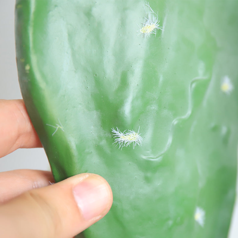 Bunny Ear Cactus Artificial Indian Fig