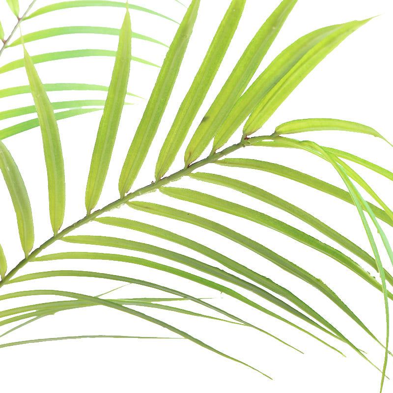 Artificial Palm Tree (7 Leaves) in Black Pot