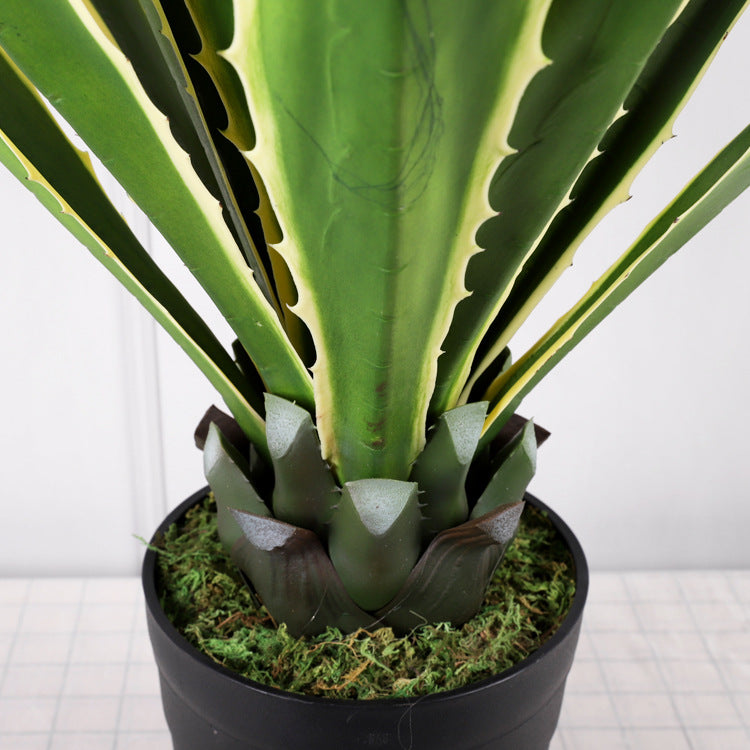 Artificial Golden Agave Plants | Agave Americana Variegata