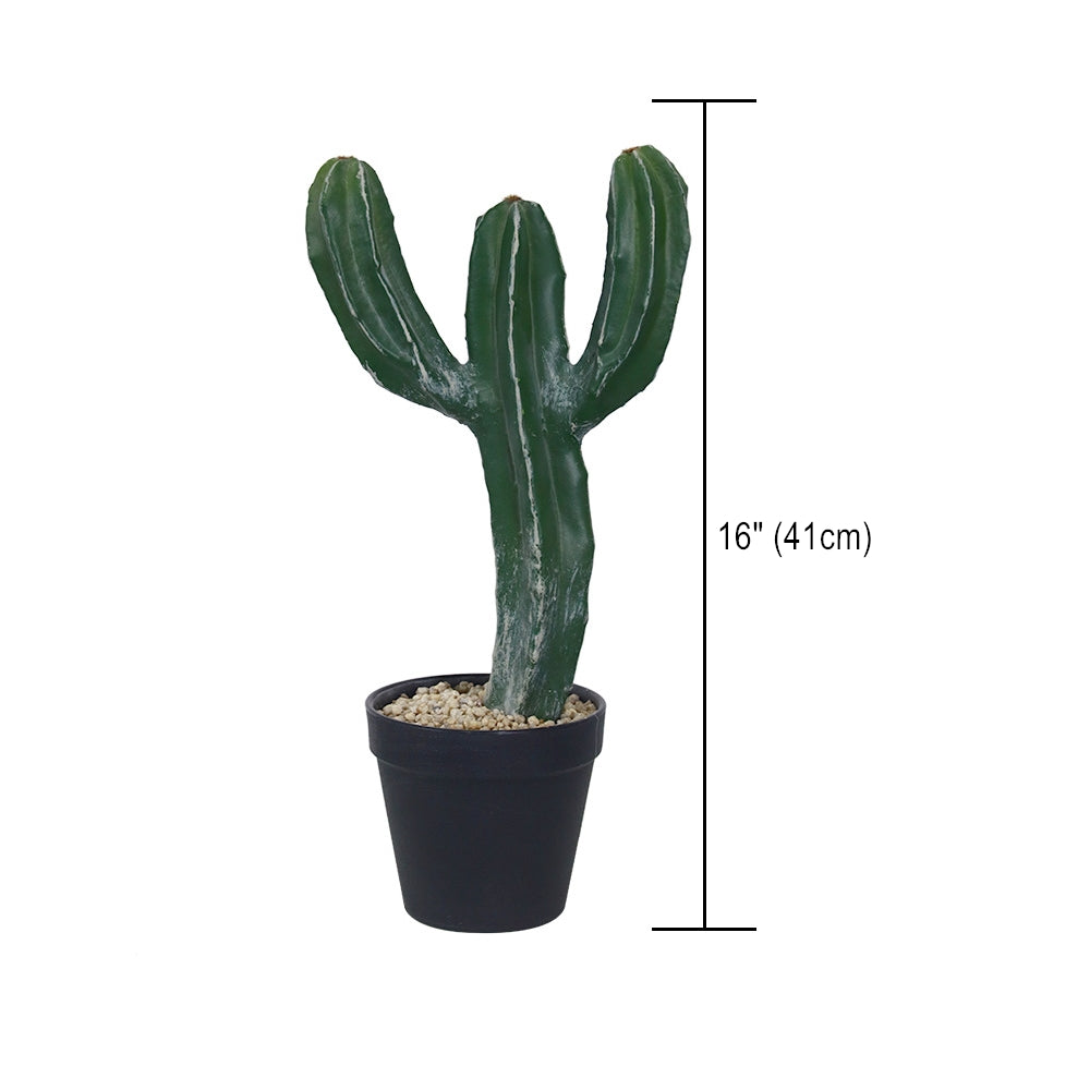 Cheap Cactus in pot Artificial Cactus 2ft, 3ft, 4ft, 5ft Tall Cactus Plants  With Pots For Sale – AMG