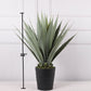 Artificial Golden Agave Plants | Agave Americana Variegata