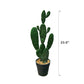 Artificial Cactus Green Rabbit Ear Multibranched
