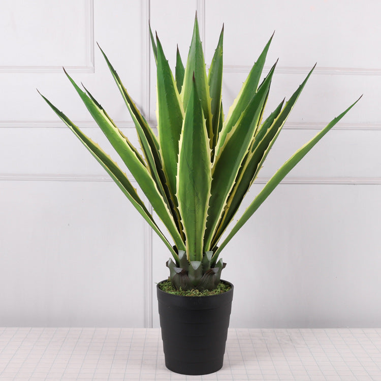 Artificial Golden Agave Plants | Agave Americana Variegata