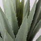 Artificial Golden Agave Plants | Agave Americana Variegata
