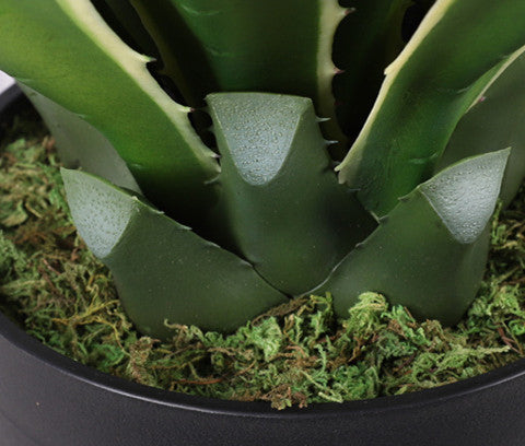 Artificial Golden Agave Plants | Agave Americana Variegata