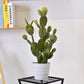 Artificial Cactus Plants In Imitation Ceramic Flower Pot