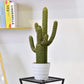 Artificial Cactus Plants In Imitation Ceramic Flower Pot