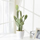 Artificial Cactus Plants In Imitation Ceramic Flower Pot