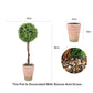 Artificial Ball Plants In Pot Indoor Decoration