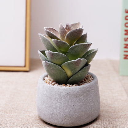 Small Artificial Succulents Potted Plants Indoor