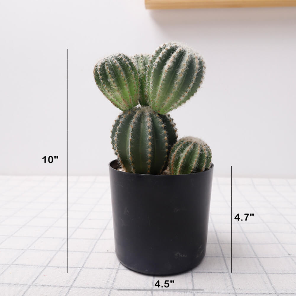 small faux plant in black pot Shopping For Small Fake Artificial Cactus Plants In Pot Home Office Decoration – AMG