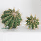 Artificial Large Cactus Plants Yellow Ball Cactus
