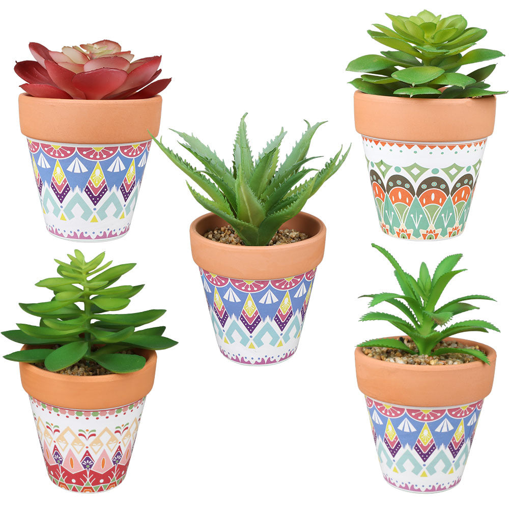 fake succulent plants in pots Artificial Succulents in Ceramic pots Faux Plants Indoor Fake Succulent pots – AMG