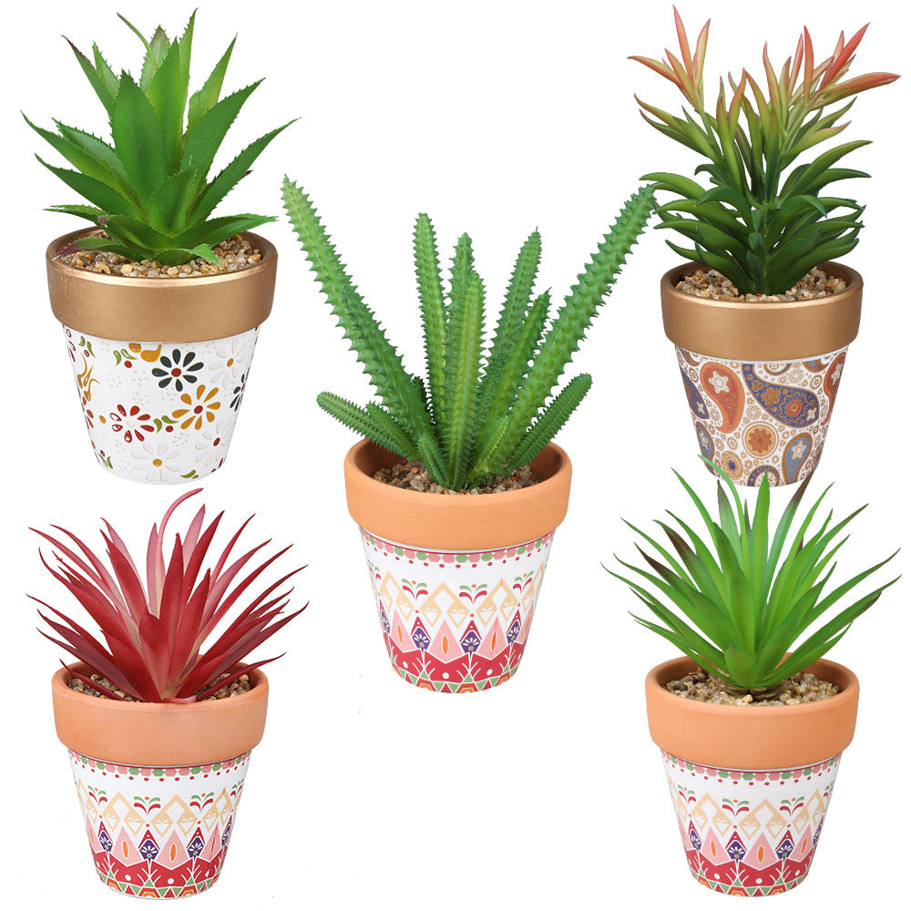 Artificial Succulents in Ceramic pots