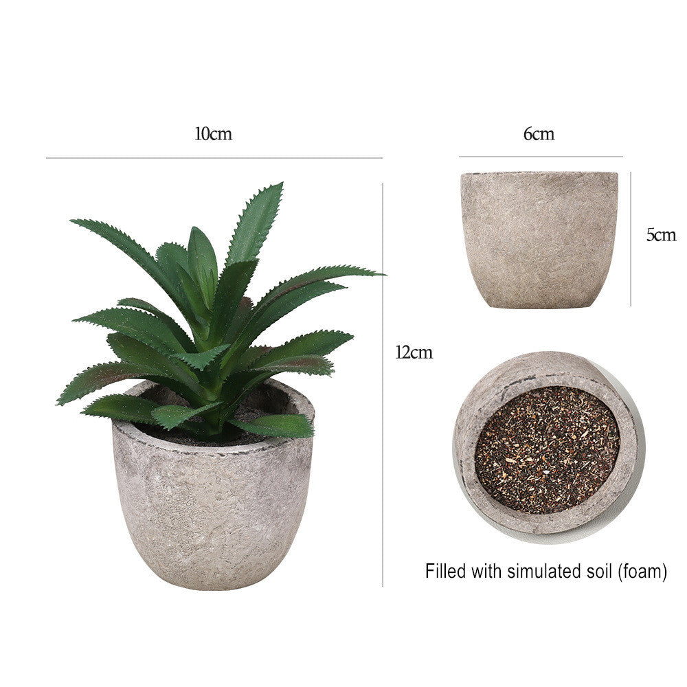 Potted Artificial Succulent Plants Set of 5 Small Faux Succulent with Pots