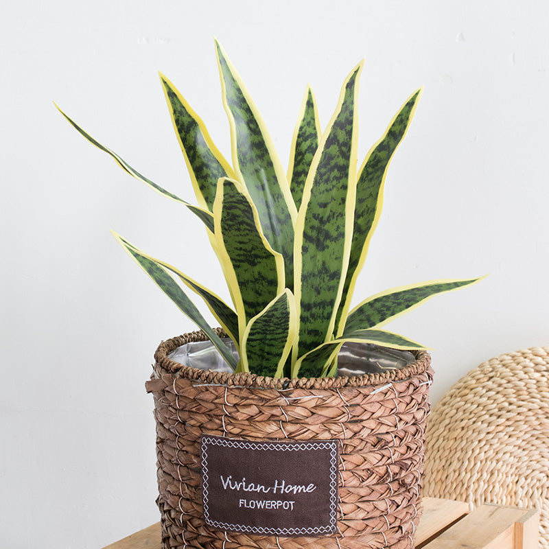 faux sansevieria plant Online Artificial Snake Plants Indoor Sansevieria Trifasciata Floor Foliage Plant in Planter – AMG