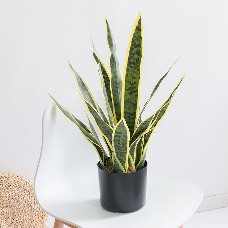 artificial snake plant in planter Online Artificial Snake Plants Indoor Sansevieria Trifasciata Floor Foliage Plant in Planter – AMG