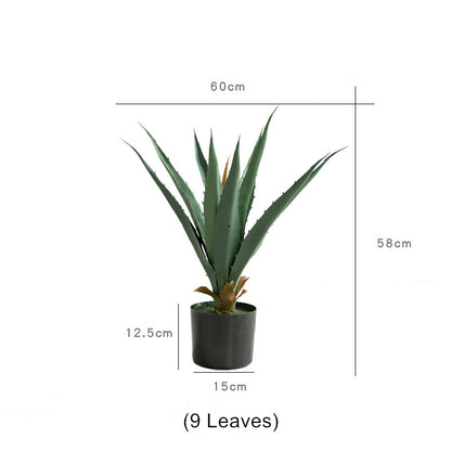 Agave Plant Indoor/Outdoor