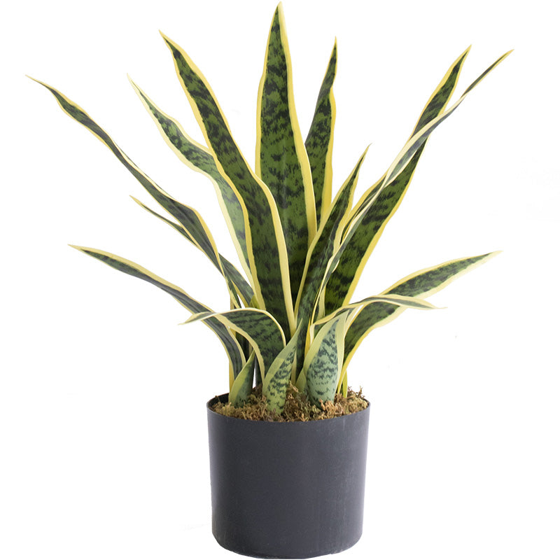 online snake plant Online Artificial Snake Plants Indoor Sansevieria Trifasciata Floor Foliage Plant in Planter – AMG