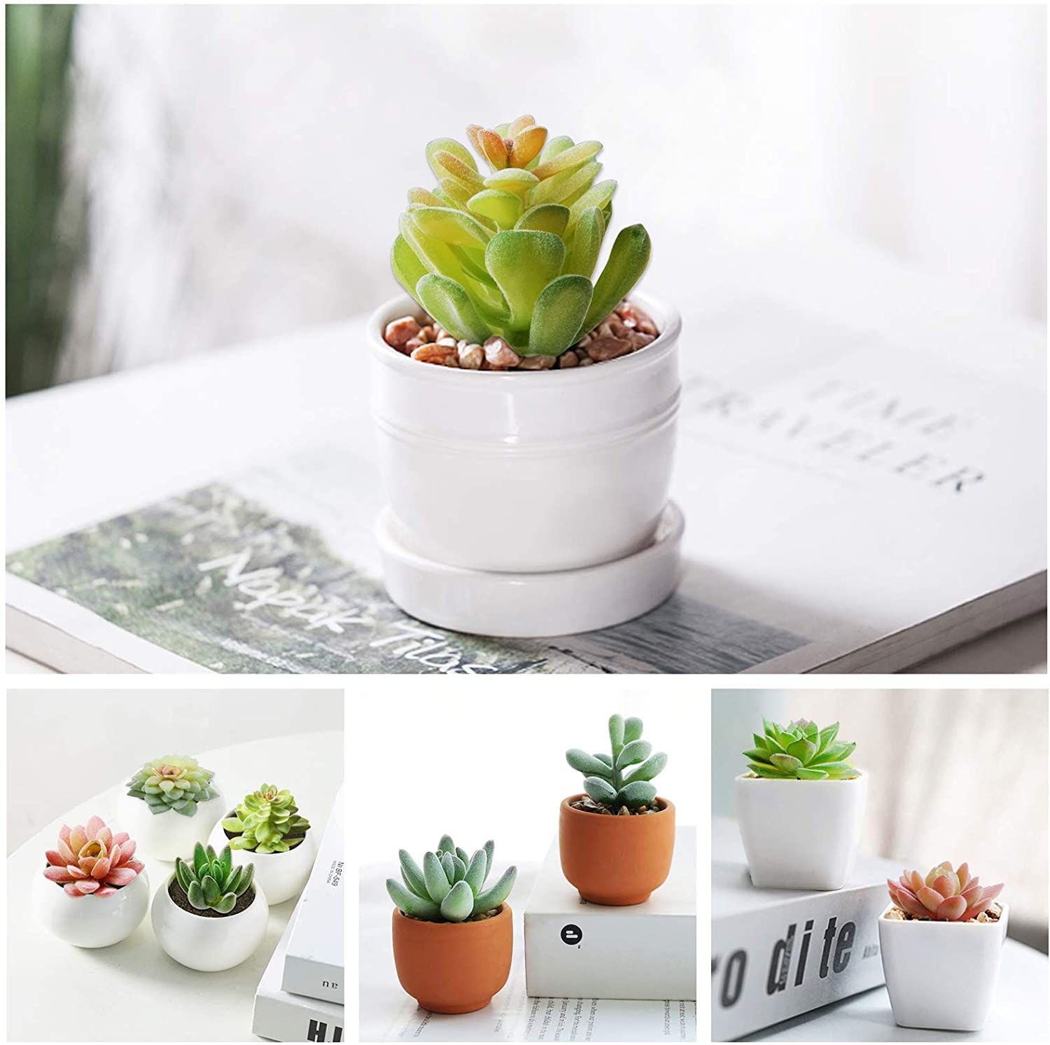 plastic plants small Shop Artificial Succulents Mini Fake Plants – AMG