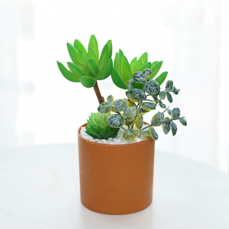 faux cactus and succulents Mini Artificial Cactus Plants Faux Assortment Succulent With Pots – AMG