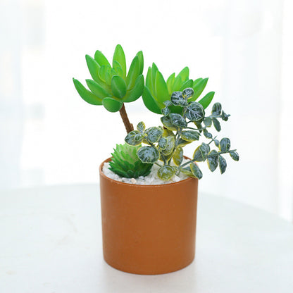 Mini Artificial Cactus Plants Faux Assortment Succulent With Pots
