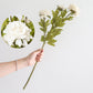 Artificial Herbaceous Peony Silk 2 pcs