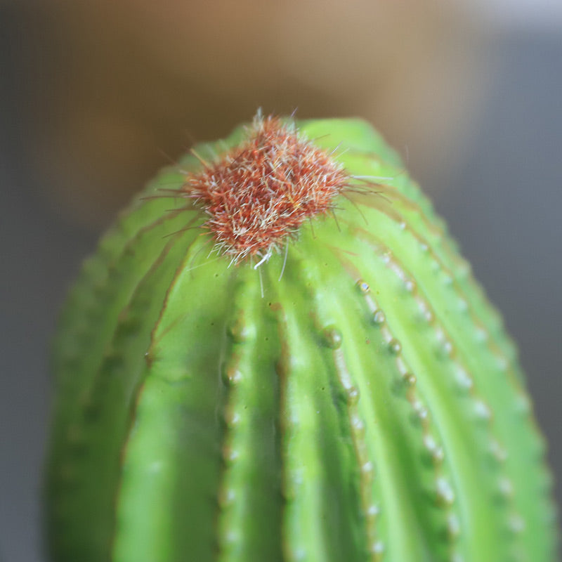 Artificial Cactus Potted - Organ Pipe Cactus 3pcs in one pot