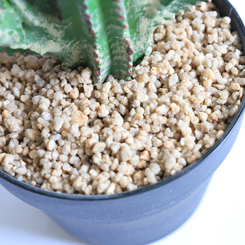Artificial Faux Saguaro Cactus Pilosocereus For Home Office Decor Indoor