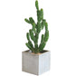 Artificial Faux Saguaro Cactus Pilosocereus For Home Office Decor Indoor