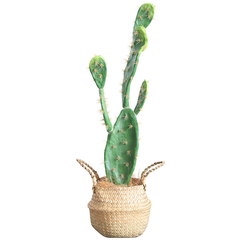 Bunny Ear Cactus Artificial Indian Fig